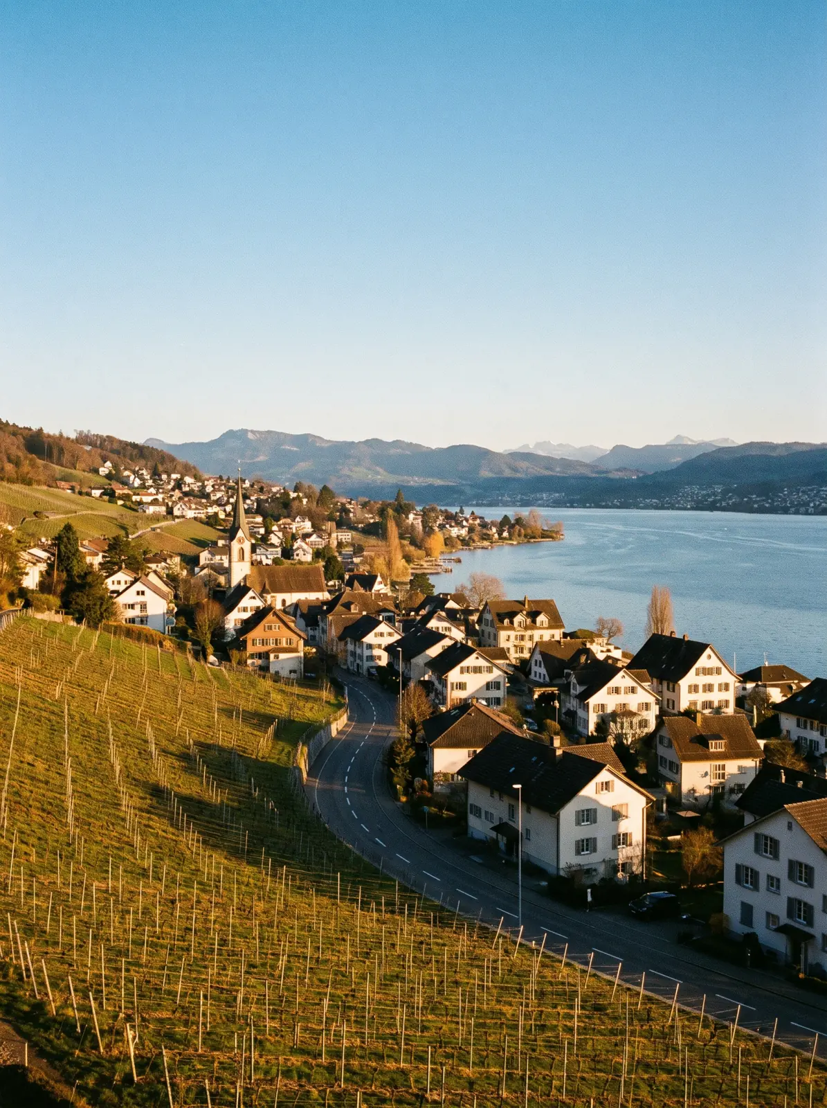 Stäfa on the Gold Coast with vineyards